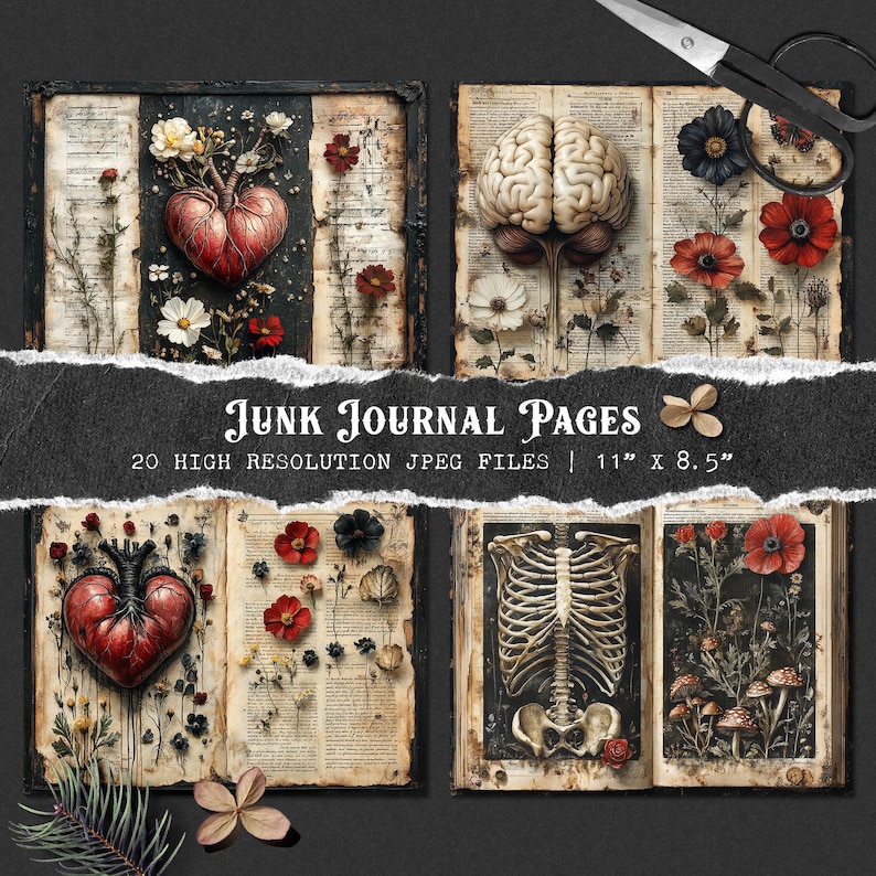 May include: 20 high-resolution digital images of vintage book pages with anatomical illustrations and floral designs. The pages feature a heart, brain, ribcage, and various flowers. The images are 11 inches by 8.5 inches.