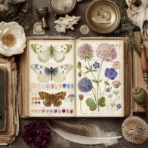 K&ouml;nnte beinhalten: Ein offenes antikes Buch zeigt detaillierte Illustrationen von Schmetterlingen und Blumen. Die Seiten sind alt und abgenutzt, mit einer Farbpalette aus Creme, Braun und verschiedenen Blau-, Lila- und Gelbt&ouml;nen. Das Bild ist mit Vintage-Botanikelementen gestaltet.