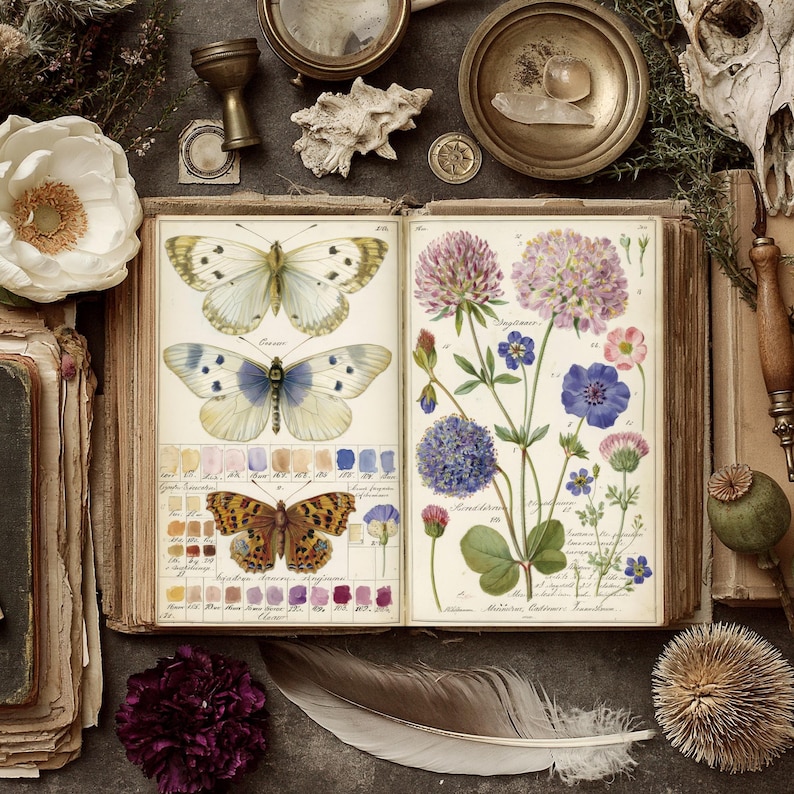 K&ouml;nnte beinhalten: Ein offenes antikes Buch zeigt detaillierte Illustrationen von Schmetterlingen und Blumen. Die Seiten sind alt und abgenutzt, mit einer Farbpalette aus Creme, Braun und verschiedenen Blau-, Lila- und Gelbt&ouml;nen. Das Bild ist mit Vintage-Botanikelementen gestaltet.