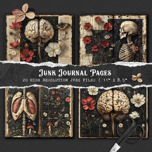 May include: Four digital printable pages for junk journals. Each page features a vintage style illustration of a human organ, including a brain, lungs, and skeleton. The pages are decorated with flowers and other botanical elements.  Junk Journal Pages | 20 High Resolution JPEG Files | 11" x 8.5"
