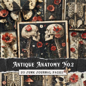 Könnte beinhalten: Eine Collage aus 20 Junk-Journal-Seiten mit antiken anatomischen Illustrationen von Skeletten und Schädeln mit roten Mohnblumen. Der Titel "Antique Anatomy No. 2" ist am unteren Rand der Collage zu sehen.
