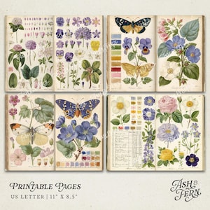 K&ouml;nnte beinhalten: Vintage botanische Drucke mit bunten Blumen und Schmetterlingen. Die Illustrationen sind in offenen B&uuml;chern mit detaillierten Zeichnungen und Text dargestellt. Gr&ouml;&szlig;e US Letter, 27,9 cm x 21,6 cm.