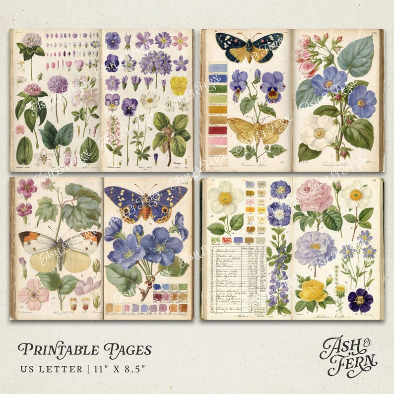 K&ouml;nnte beinhalten: Vintage botanische Drucke mit bunten Blumen und Schmetterlingen. Die Illustrationen sind in offenen B&uuml;chern mit detaillierten Zeichnungen und Text dargestellt. Gr&ouml;&szlig;e US Letter, 27,9 cm x 21,6 cm.