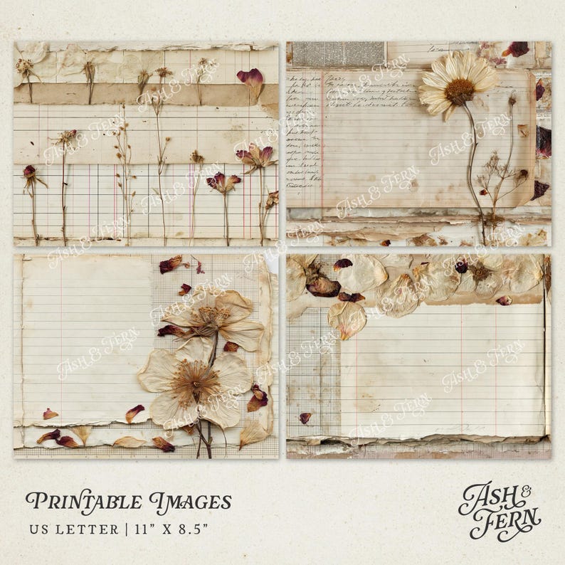 以下が含まれることがあります： ヴィンテージスタイルの便箋4枚セット。古びた罫線入りの紙にグリッドパターンが施されています。各シートには、クリーム色、茶色、ベージュの色合いの押し花や花びらが飾られています。下部のテキストには「Printable Images US Letter | 27.9 cm x 21.6 cm」と記載されています。