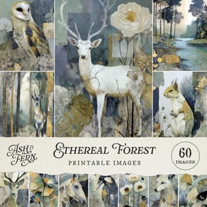 Può includere: Un collage di immagini in stile acquerello con animali e paesaggi della foresta. Le immagini includono un cervo bianco, un gufo, uno scoiattolo e scene di foresta. Il testo recita "Ash & Fern" e "Ethereal Forest Printable Images" con "60 Images" in un cerchio.