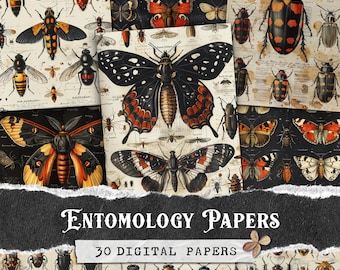 Antique Insect Junk Journal Ephemera Pages, Vintage Entomology Digital Papers, Butterfly & Beetle Scrapbook Paper Kit, Grungy Collage Sheets