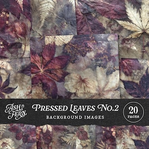 Pressed Autumn Leaves Ferns & Flowers Junk Journal Pages, Eco Print Botanical Forest Texture Backgrounds for Scrapbook Collage Crafts JPG