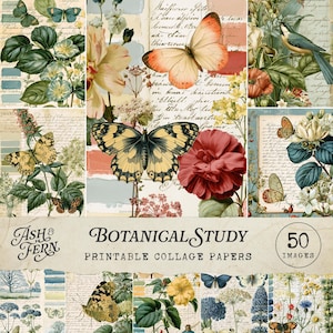 Op de afbeelding: Een collectie printbaar collagepapier genaamd Ash & Fern Botanical Study met 50 afbeeldingen van vlinders, bloemen, vogels en vintage handschrift op verouderde papierachtergronden in gedempte tinten rood, geel, blauw en groen.