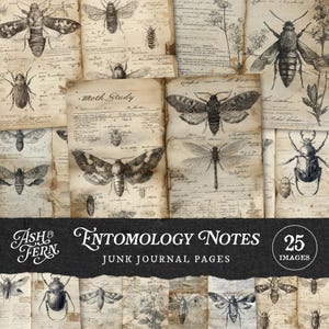 May include: A collage of vintage-style journal pages featuring detailed illustrations of various insects, including moths, beetles, and dragonflies. The pages have a distressed, aged appearance with handwritten notes and the text "Entomology Notes" and "Junk Journal Pages".