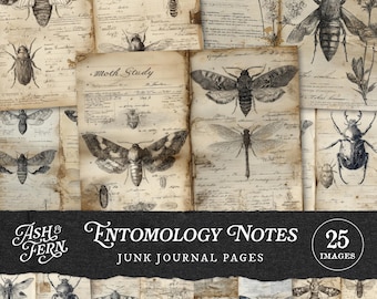 Entomology Field Notes Junk Journal Pages, Vintage Grunge Insect Study Printables, Botanical Moth Beetle Butterfly Ephemera & Collage Kit