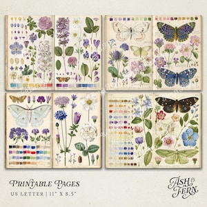 Vintage Schmetterling Studie druckbare Junk Journal Seiten, botanische Insekt Collage Papiere, florale Natur Ephemera für Scrapbooking & Crafts JPG Bild 10