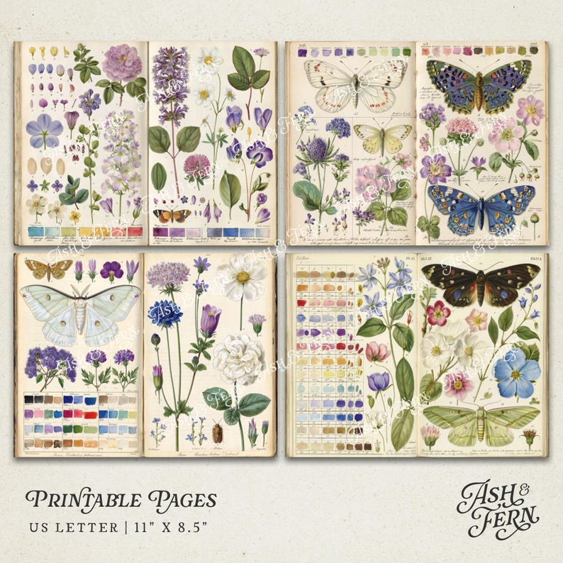 Vintage Schmetterling Studie druckbare Junk Journal Seiten, botanische Insekt Collage Papiere, florale Natur Ephemera für Scrapbooking & Crafts JPG Bild 10