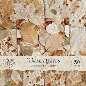 May include: A collection of 50 pages of background paper featuring pressed leaves and dried flower petals embedded in textured, off-white paper. The text Ash & Fern Fallen Leaves Background Papers 50 Pages is printed on a banner across the centre.