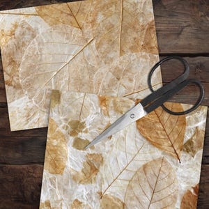 May include: Two sheets of off-white handmade paper featuring embedded dried brown leaves with visible veins and a fibrous texture, accompanied by a pair of black metal scissors resting on the surface of the bottom sheet of paper.