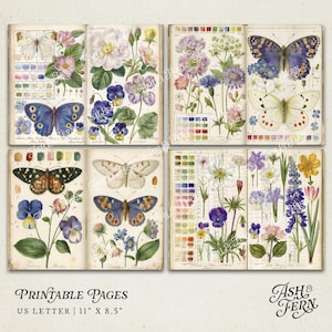 K&ouml;nnte beinhalten: Druckbare Seiten mit Vintage-Illustrationen von Schmetterlingen und Blumen. Die Seiten enthalten Farbfelder und Text. Die Seiten haben das US Letter-Format, 27,9 cm x 21,6 cm. Die Farbpalette ist weich und ged&auml;mpft, mit nat&uuml;rlichen T&ouml;nen.
