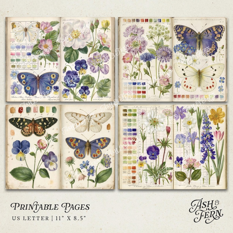 K&ouml;nnte beinhalten: Druckbare Seiten mit Vintage-Illustrationen von Schmetterlingen und Blumen. Die Seiten enthalten Farbfelder und Text. Die Seiten haben das US Letter-Format, 27,9 cm x 21,6 cm. Die Farbpalette ist weich und ged&auml;mpft, mit nat&uuml;rlichen T&ouml;nen.