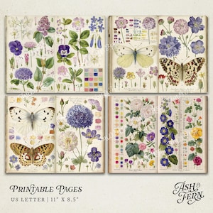 K&ouml;nnte beinhalten: Druckbare Seiten mit Vintage-Botaniker-Illustrationen von Blumen und Schmetterlingen. Die Seiten sind in einem Raster angeordnet und zeigen detaillierte Zeichnungen verschiedener Pflanzenarten und Insekten. Die Farbpalette umfasst Schattierungen von Lila, Rosa, Gelb und Gr&uuml;n. US Letter-Format, 27,9 cm x 21,6 cm.