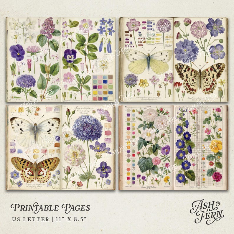 K&ouml;nnte beinhalten: Druckbare Seiten mit Vintage-Botaniker-Illustrationen von Blumen und Schmetterlingen. Die Seiten sind in einem Raster angeordnet und zeigen detaillierte Zeichnungen verschiedener Pflanzenarten und Insekten. Die Farbpalette umfasst Schattierungen von Lila, Rosa, Gelb und Gr&uuml;n. US Letter-Format, 27,9 cm x 21,6 cm.
