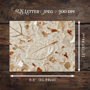 May include: A rectangular sheet of textured, off-white handmade paper embedded with dried, translucent skeletonized leaves in shades of beige and brown. The paper measures 8.5 inches by 11 inches, as indicated by the visible measurement markers.