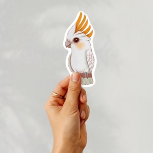 Puede incluir: Una pegatina de cacatúa blanca con plumas de cresta naranja y una percha marrón. La pegatina presenta una ilustración detallada de las características del ave, incluido su ojo y pico. La pegatina está sujeta por una mano.