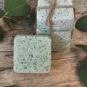 Eucalyptus & Peppermint Shower Steamers