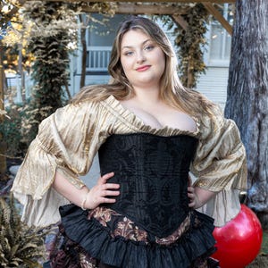 Champange Shimmer Chemise, Renaissance Blouse, Steampunk, Victorian, Renaissance, Western, Peasant Blouse, Pirate, Fairy, Costume Shirt