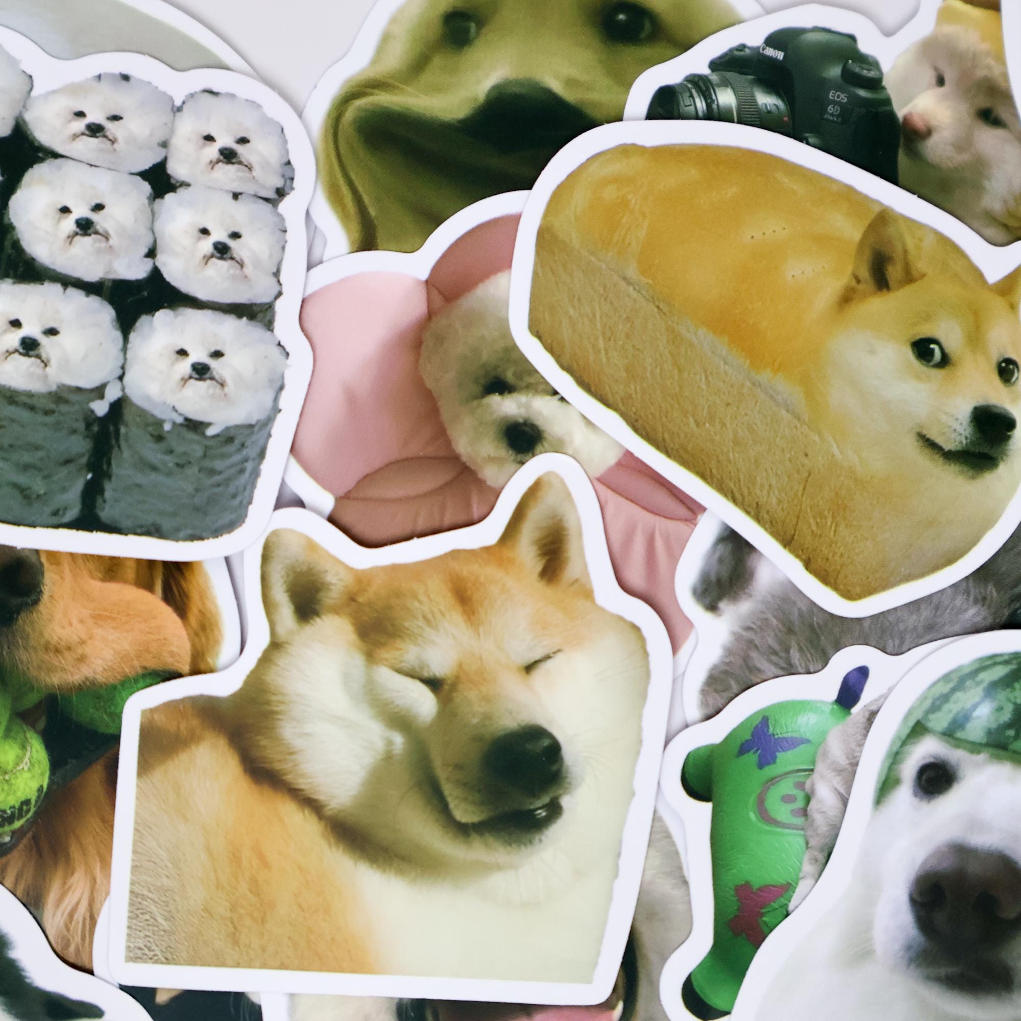 50PCS Funny Dog Meme Stickers Pack – Cute Cartoon Puppy Expression ...