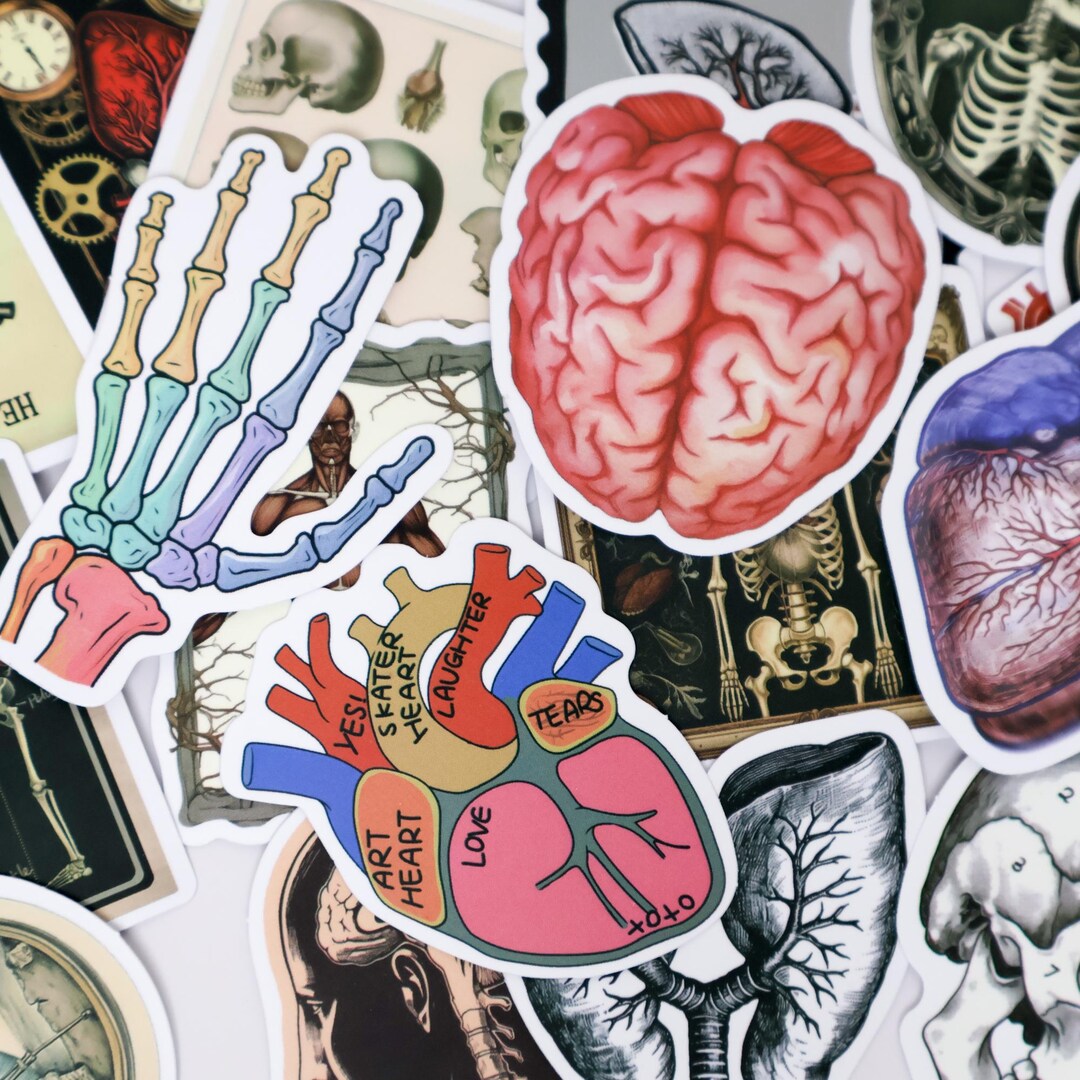 50PCS Vintage Anatomy Stickers Pack – Retro Human Organ, Brain, Heart ...