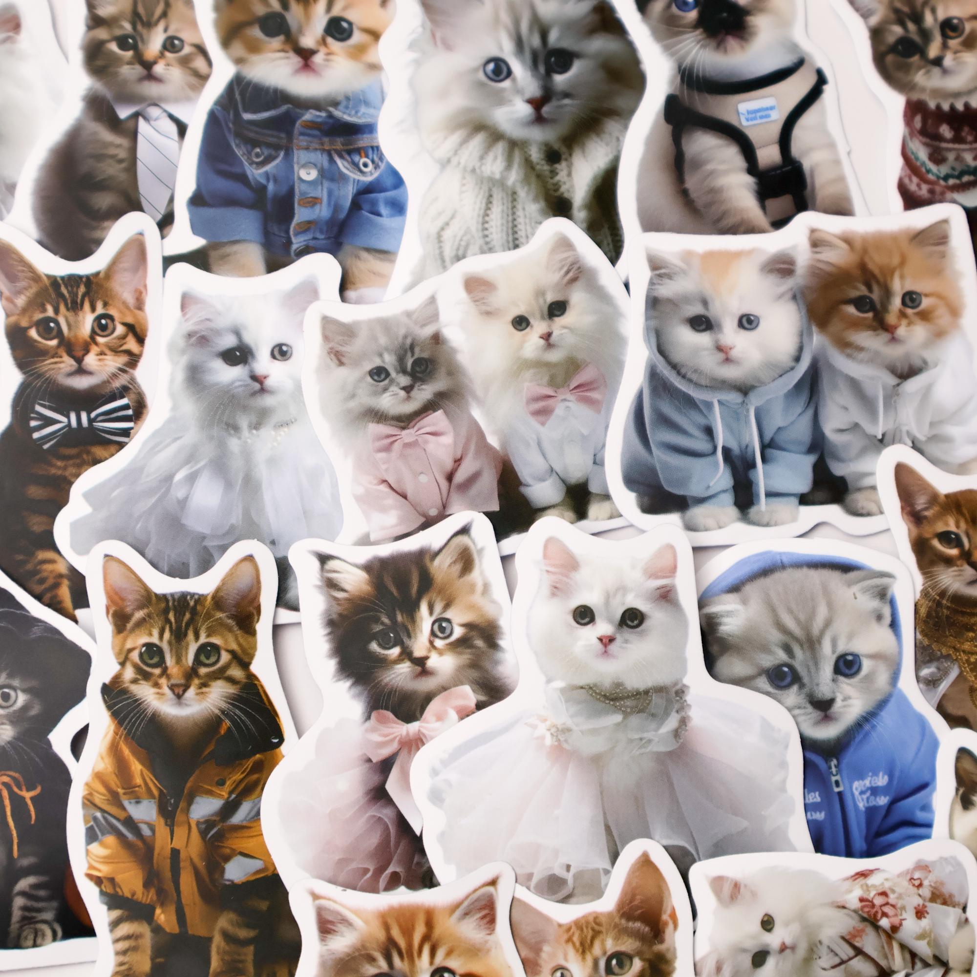 50PC Cute Cartoon Cat Sticker Pack – Kawaii Doodle Vinyl Stickers for ...