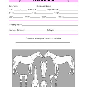 Horse Management Planner: Printable Equine Records (PDF & Canva) image 4