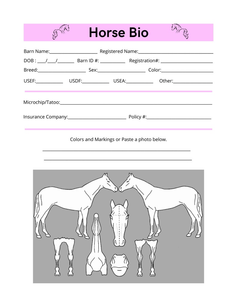 Horse Management Planner: Printable Equine Records (PDF & Canva) image 4