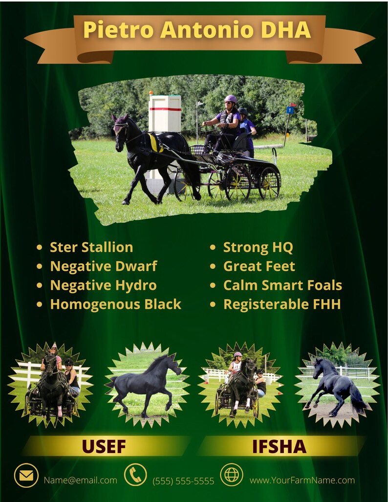 Green Horse Sales Ad Flyer Handout Brochure - Etsy