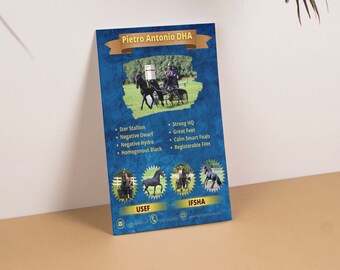 Green Horse Sales Ad Flyer Handout Brochure - Etsy