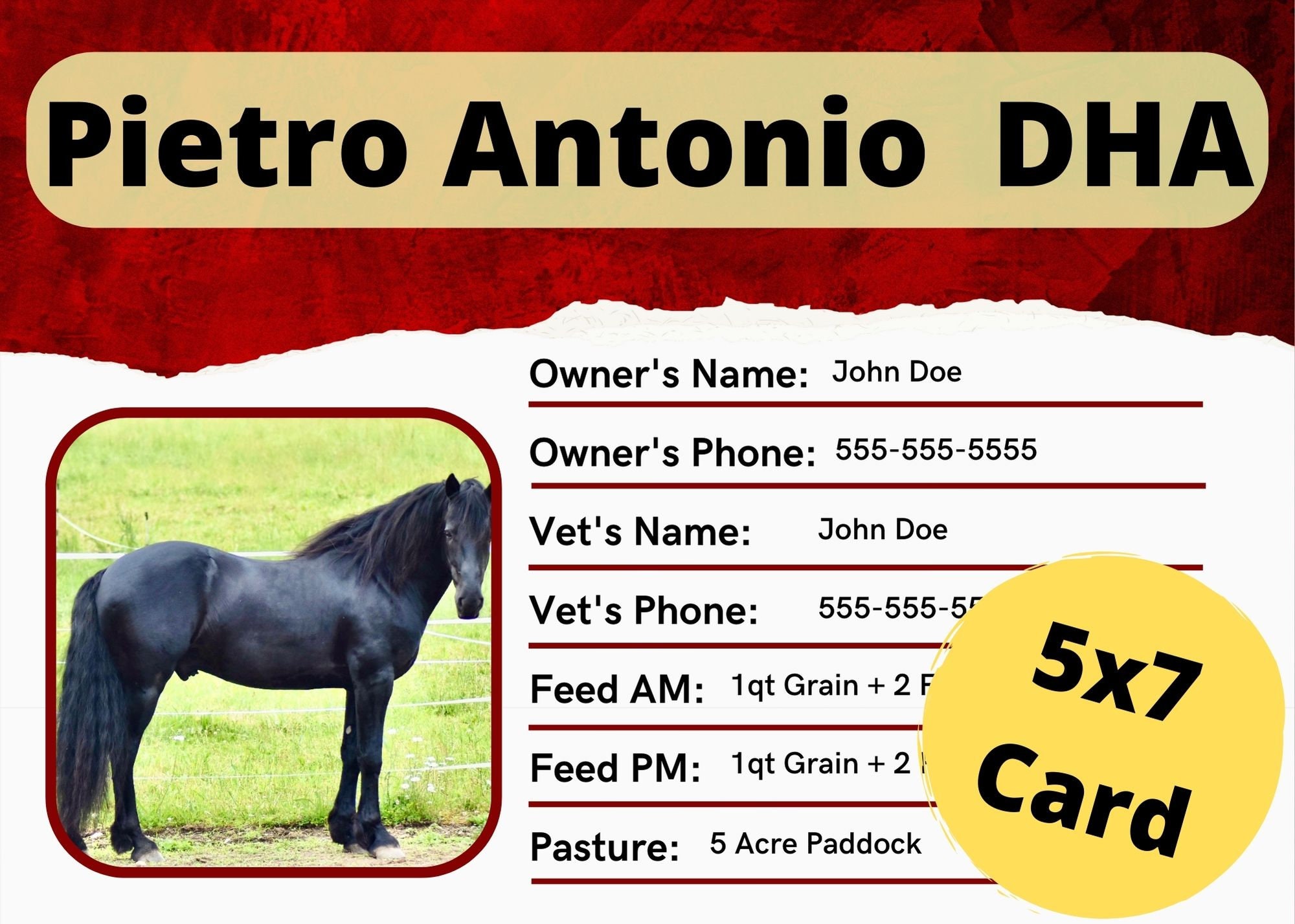 Horse Stall Card Bundle Edit Print 5x7 Canva Template Etsy