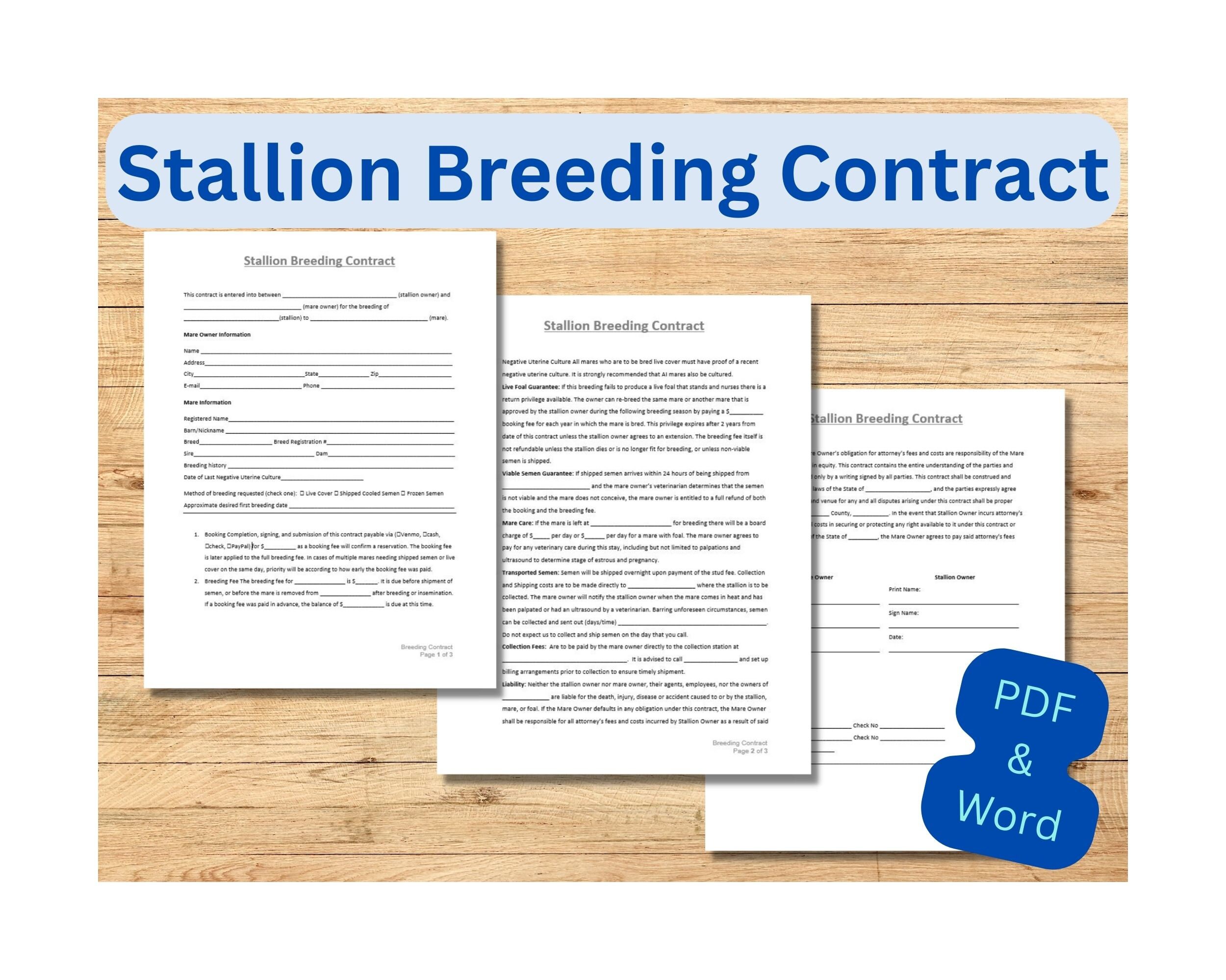 Image 4 for Stallion Breeding Contract Templates