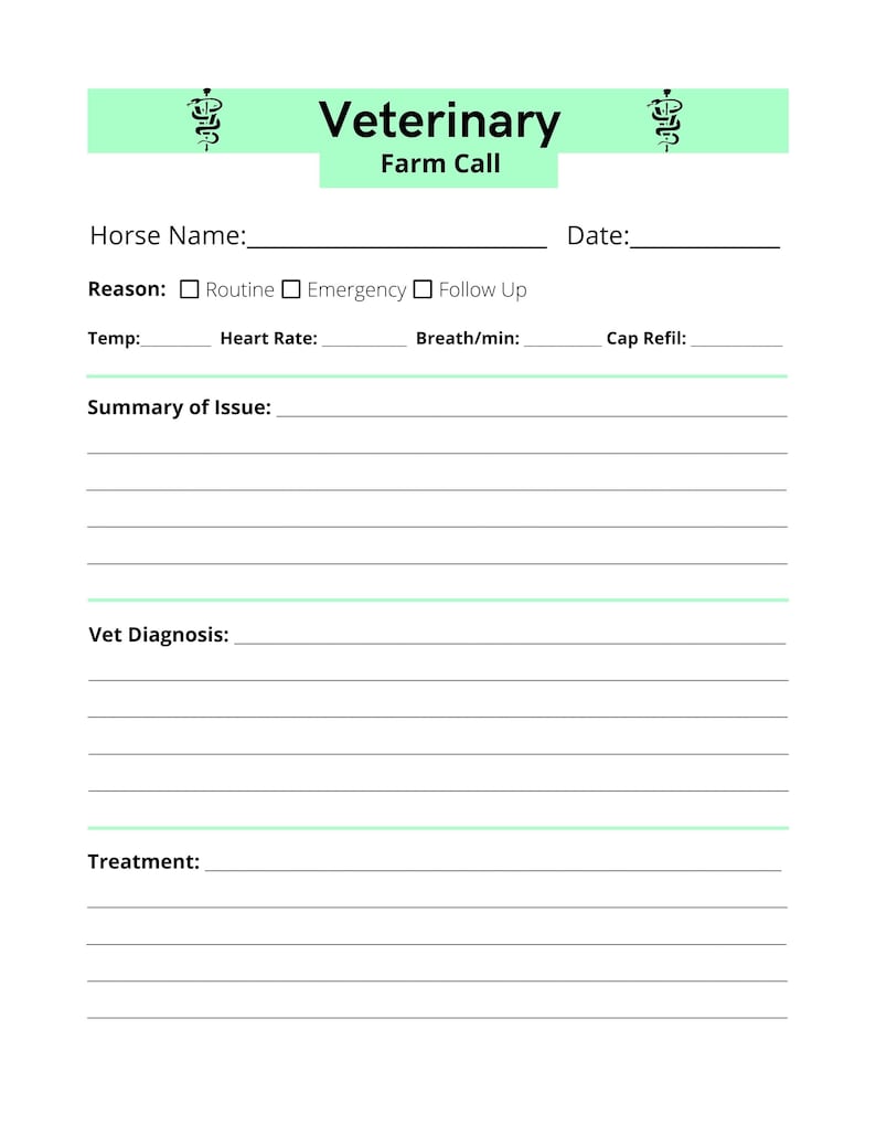 May include: A veterinary farm call form with fields for horse name, date, reason for visit, temperature, heart rate, breaths per minute, capillary refill, summary of issue, veterinary diagnosis, and treatment.