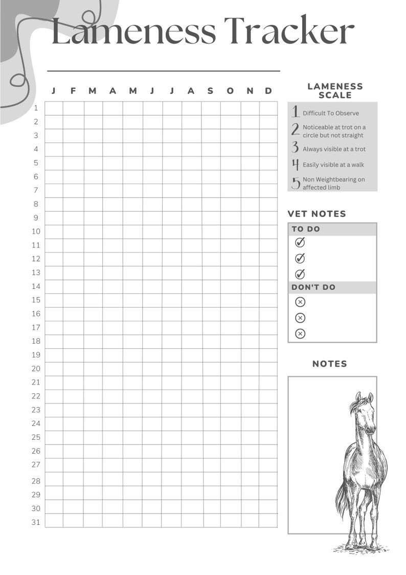 Horse Lameness Tracker Horse Health Horse Fitness Horse Vet Equine