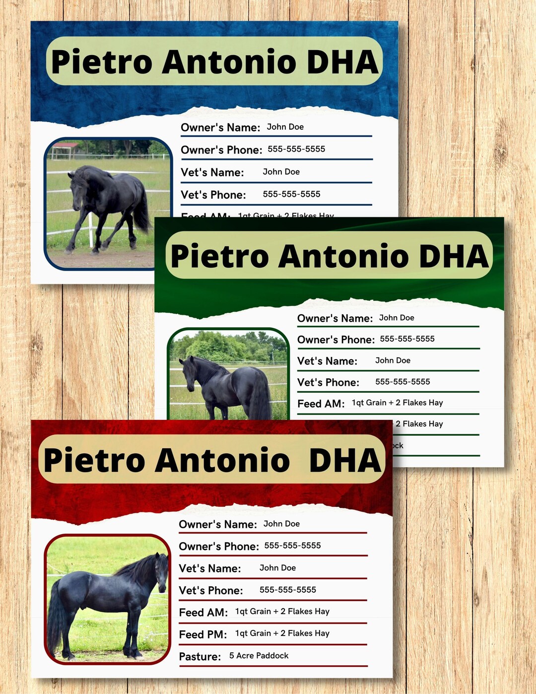 Horse Stall Card Bundle Edit Print 5x7 Canva Template Etsy