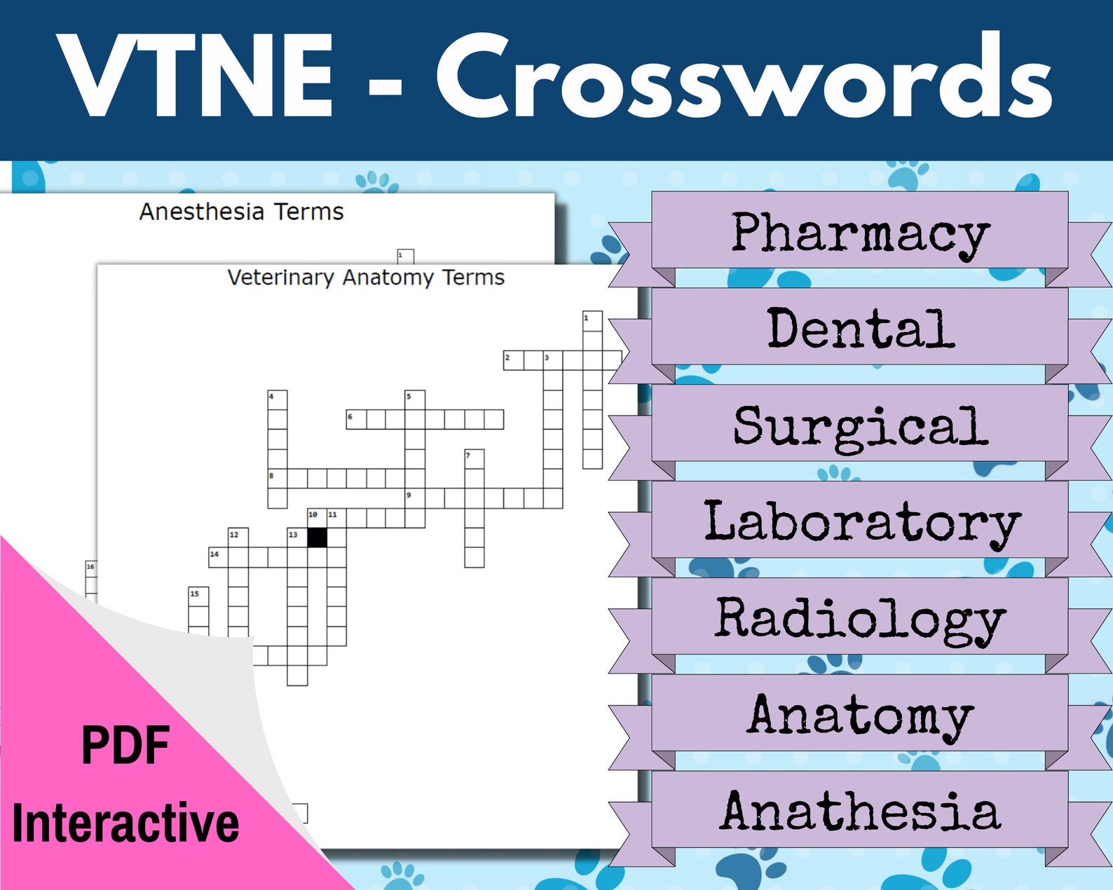 VTNE Crossword Puzzles Veterinary Vocabulary Vet Tech Vocabulary Vet