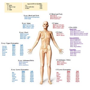 Puede incluir: Un diagrama del sistema esquelético humano con etiquetas para los diferentes huesos y regiones, incluyendo la cabeza y el cuello, la columna vertebral, el pecho, las extremidades superiores, el abdomen, la pelvis y las extremidades inferiores. El diagrama está dividido en secciones para rayos X y tomografías computarizadas, con códigos específicos para cada área.