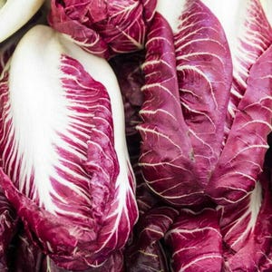 500 Verona Radicchio Seeds Heirloom - Premium Non-GMO, Open Pollinated, US Grown Seed, Always Fresh!
