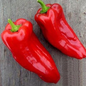 75 Poblano Ancho Hot Pepper Seeds - Heirloom - Premium Non-GMO, Open Pollinated, US Grown Seed, Always Fresh!