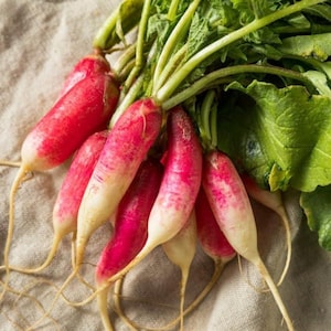 500 Hong Vit Radish Seeds - Asian Heirloom - Premium Non-GMO, Open Pollinated, US Grown Seed