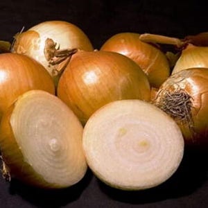 500 Yellow Sweet Spanish Onion Seeds Heirloom - Premium Non-GMO, Open Pollinated, US Grown Seed