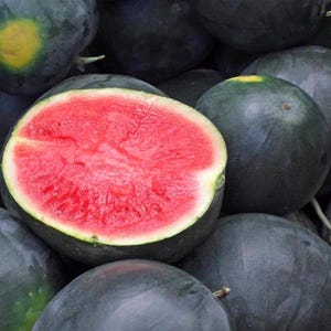 45 Watermelon Seeds - Giant - Black Diamond Heirloom - Premium Non-GMO, Open Pollinated, US Grown Seed