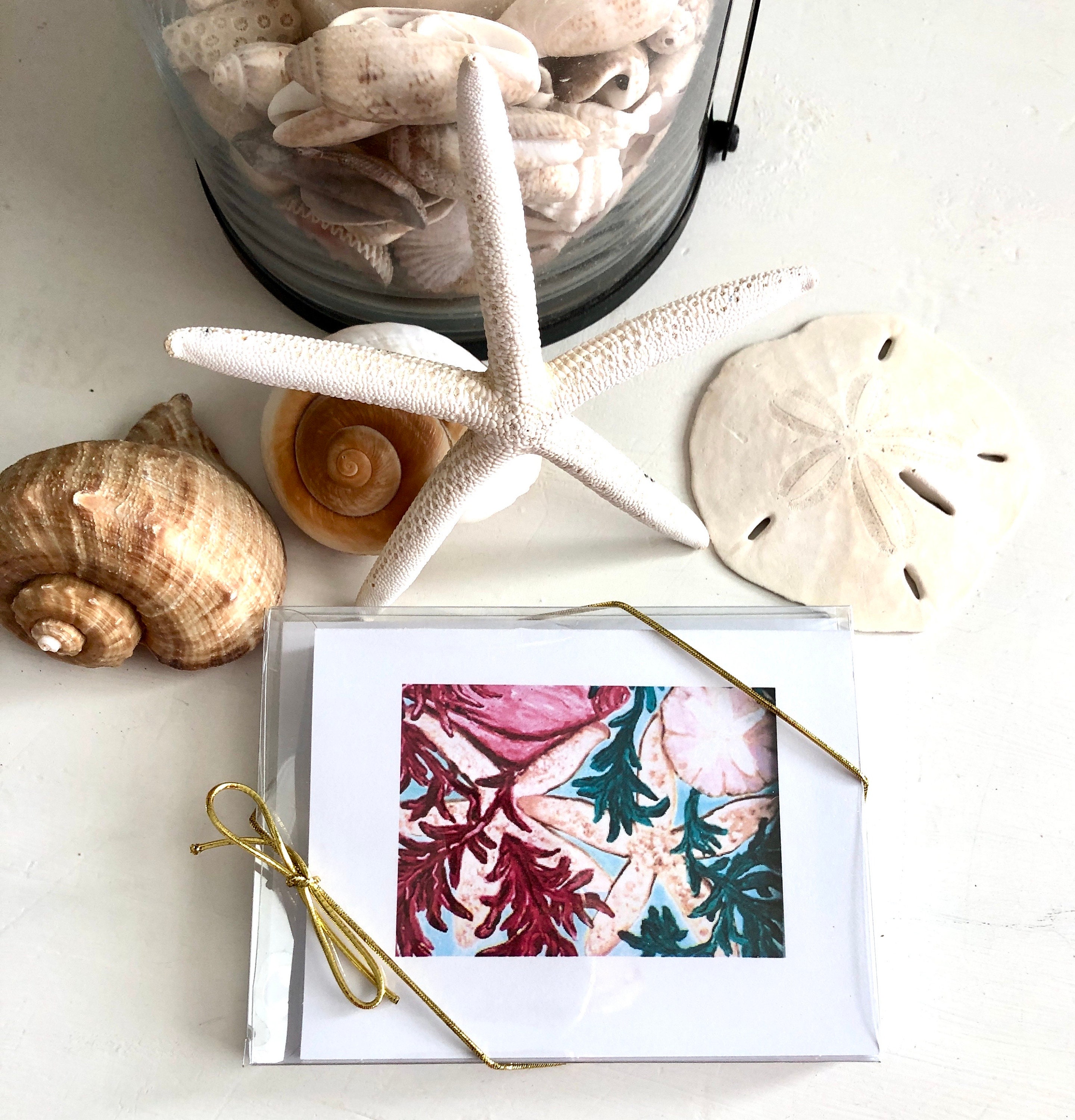 Sea Life Blank Note Cards Set With Envelopes, Set of 8 Blank Nautical ...
