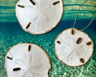 Sand Dollar Ornaments (set of 3) Beach Christmas Decor, Unique Gold Trimmed Sand Dollar Ornaments, Coastal Ornaments Hostess Gift