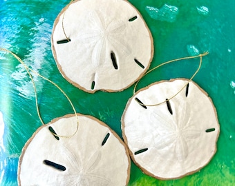 Sand Dollar Ornaments Set: Pearl White Coastal Christmas Decor, Hostess Gift, Friend Gift