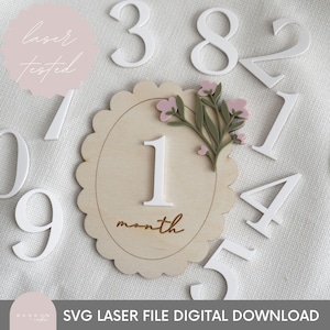 Letrero floral para bebé (SVG), archivo de corte láser, letrero floral para bebé (SVG), accesorio fotográfico mensual de bebé de doble cara, archivo de corte láser