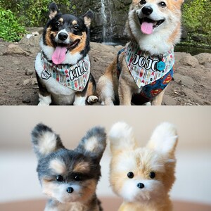 May include: Two corgi dogs wearing bandanas with the names "Kilo" and "Jojo" sit in front of a waterfall. Below, two small plush corgi dog toys are displayed, one gray and black, the other tan and white.